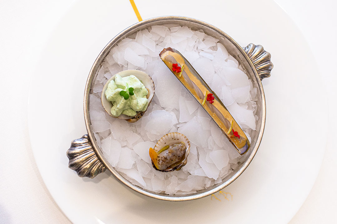 Praire à la mousse de piment jalapeño, couteau sauce grenobloise froide, coque sauce Mignonette. Un délice iodé. Accompagné d’un Champagne Pol Roger